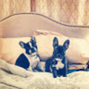 Meet your Posher, Mackenzie